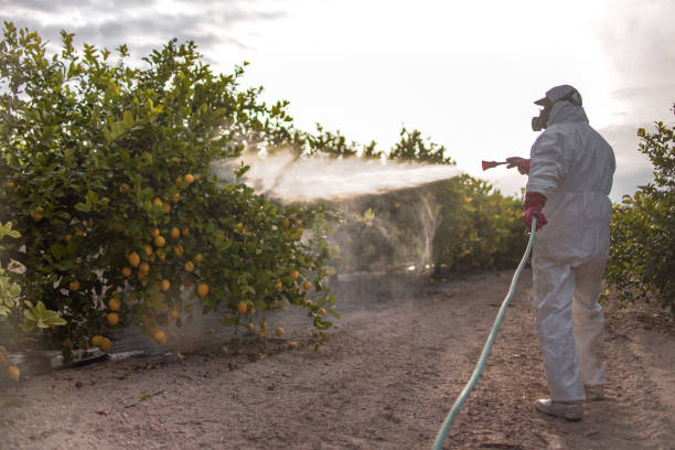 Outdoor Pest Control in Burns Flat, OK